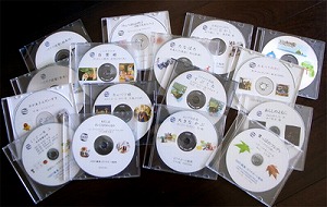 �}���`���f�B�ADAISY�T���v��CD